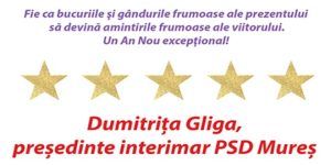 Președintele interimar al PSD Mureș, Dumitrița Gliga – urări de Anul Nou
