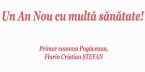Florin Cristian Ștefan, primarul Comunei Pogăceaua: „Un An Nou cu multă sănătate!”