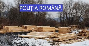 Material lemnos descoperit la persoane bănuite de ilegalități silvice