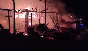 Zeci de animale arse de vii într-un incendiu, în Daneș
