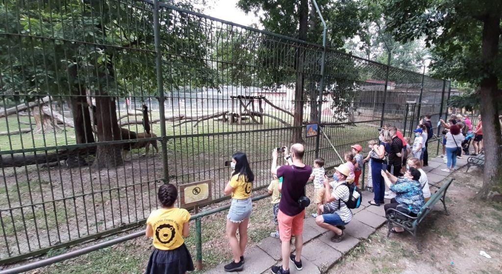 Program de vară la Zoo Târgu Mureș