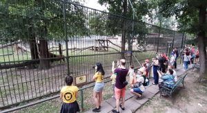 Program de vară la Zoo Târgu Mureș