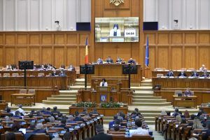 Deputatul Dumitrița Gliga, declarație politică despre carențele din PNRR