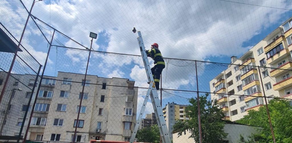 FOTO: Bufniță salvată de pompieri, în Târgu Mureș