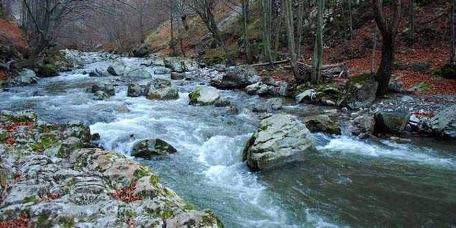 Administrația Bazinală de Apă Mureș – Planul de Management Bazin Hidrografic Mureș