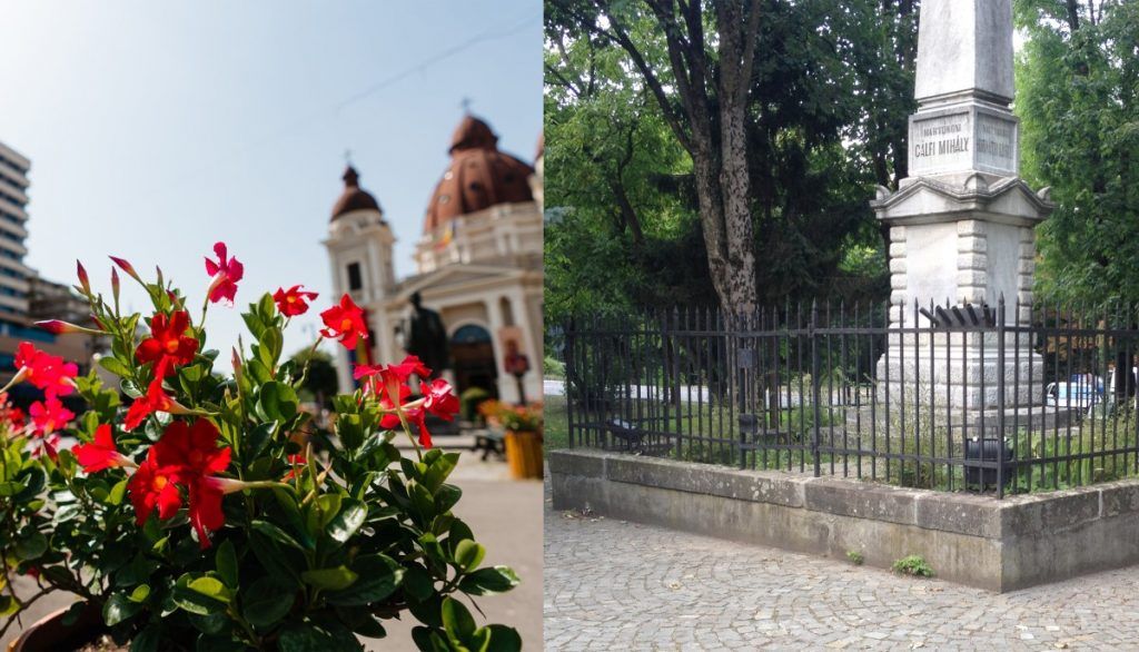 FOTO: Târgu Mureș, ”orașul în floare”!? Stați așa, că nu-i așa!