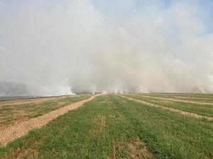 Mureș: Incendiu de vegetație pe 6 hectare de teren