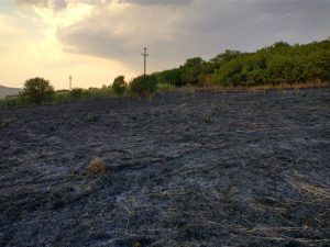 Mureș: Incendiu de vegetație uscată, pe 1,5 hectare!