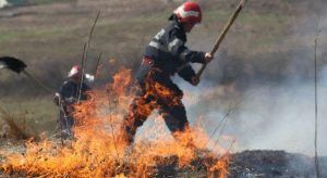 Incendiu de vegetație în zona Autostrăzii A3, în Mureș