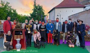Peste 700 de câini din 28 de țări, la ”Dracula Dog Show” Târgu Mureș