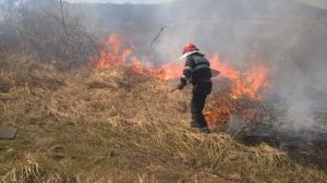 Mureș: Incendiu de vegetație pe un teren de 25 de hectare