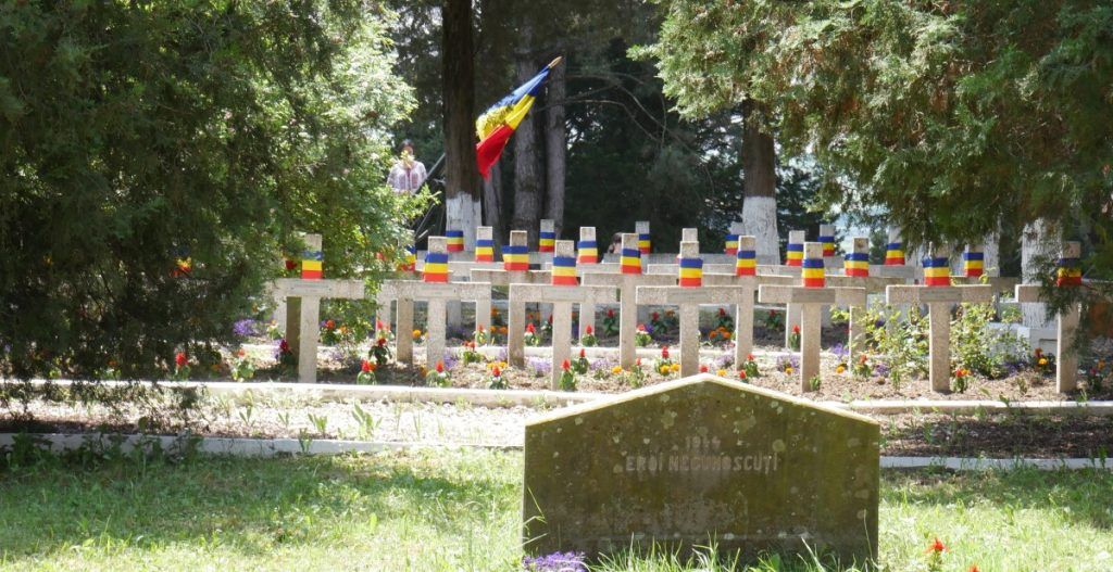 Ziua Armatei României, sărbătorită la Oarba de Mureș