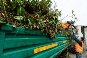 Târgu Mureș: Deșeurile vegetale, ridicate și transportate în zone special amenajate