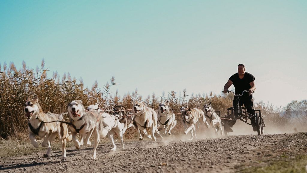 FOTO, VIDEO: Omul și câinele, tandem pus în valoare la concursul ”Outdoor addicts”