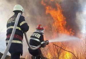 Incendiu de vegetație pe o stradă din Târgu Mureș