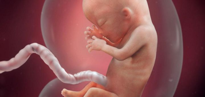 Câte avorturi s-au făcut în județul Mureș în primele șase luni din 2021