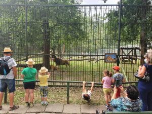 Grădina Zoologică Târgu Mureș angajează personal