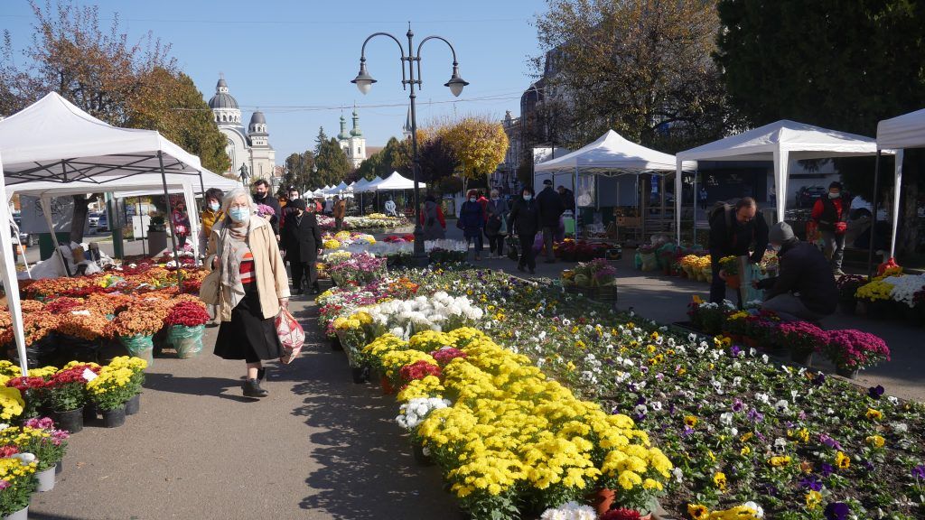 Mii de crizanteme și alte flori, în Piața Trandafirilor