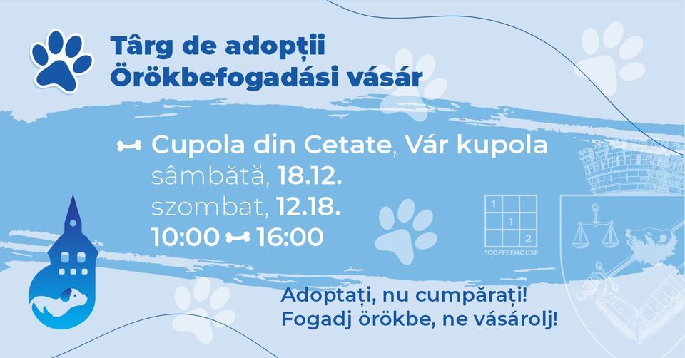 Târg de adopție pentru câini în Târgu Mureș
