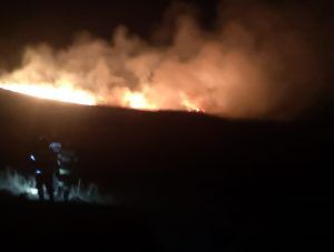 Mureș: Incendiu pe 5 hectare de vegetație uscată