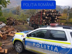Poliția Mureș, acțiuni împotriva ilegalităților din domeniul silvic
