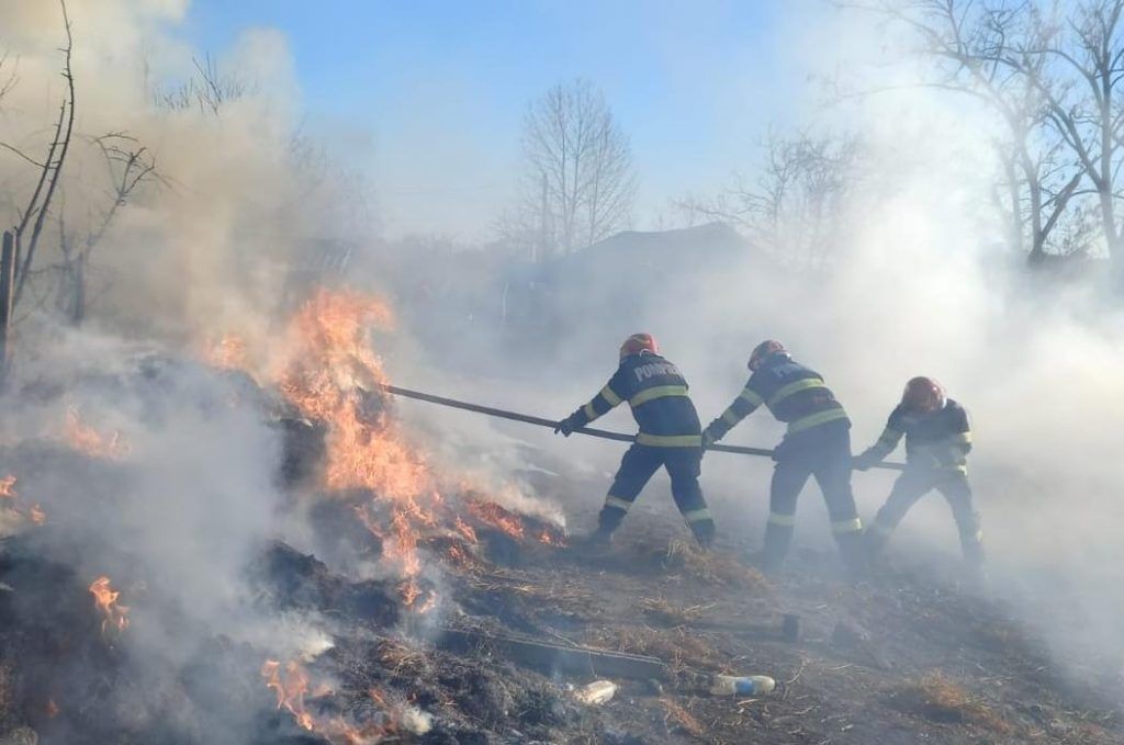 Mureș: Incendiu pe 10 hectare de vegetație
