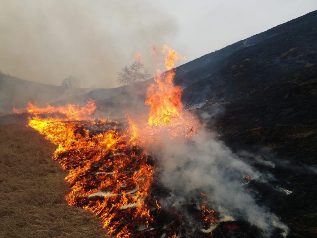 Incendii de vegetație uscată în județul Mureș