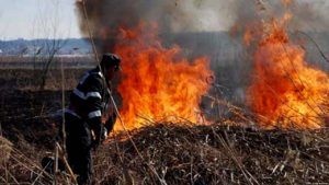Mureș: Incendiu de vegetație uscată pe aproape 3.000 de metri pătrați