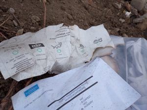 Buletine de vot din Ungaria găsite lângă cimitirul Livezeni. Reacția Poliției Mureș