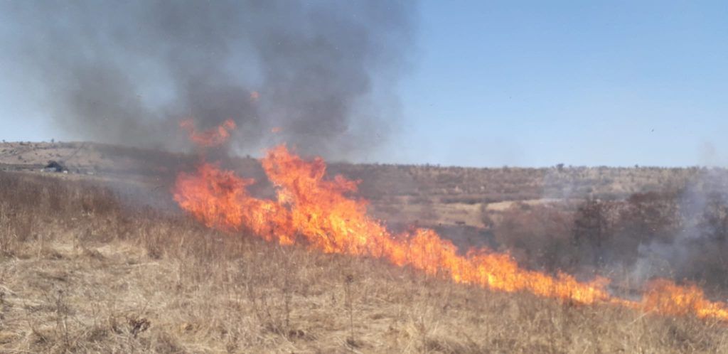 Alte incendii de vegetație uscată, în județul Mureș