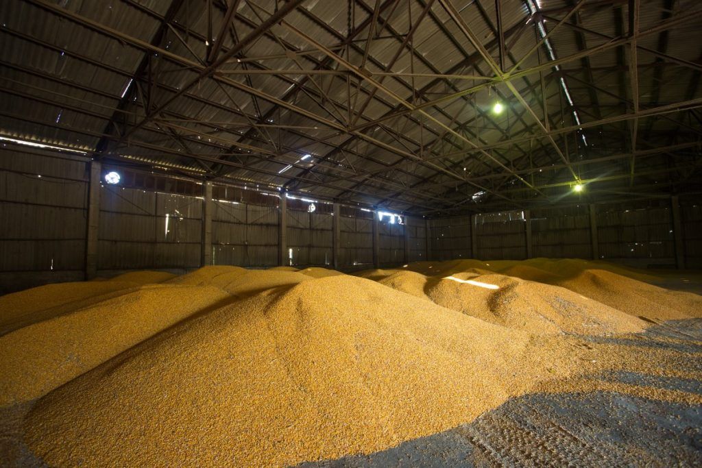 Stocurile de cereale afectate de războiul din Ucraina