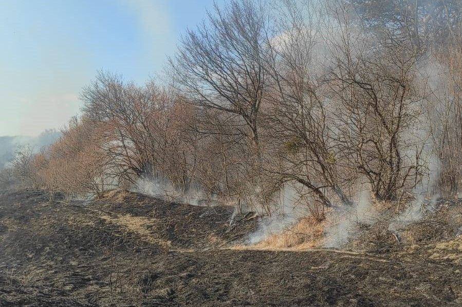 Incendiu de vegetație pe 12 hectare, într-o localitate mureșeană