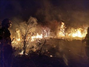Noi incendii de vegetație uscată în județul Mureș