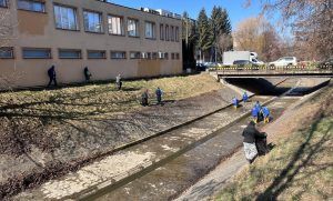 Voluntariat pentru ecologizarea pârâului Poklos