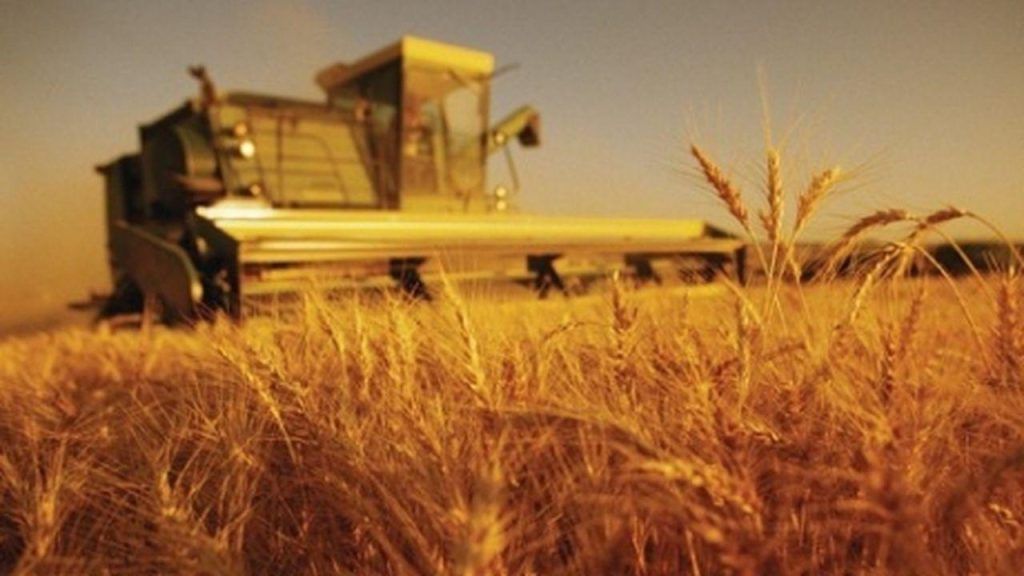 Plan pentru reluarea exportului de cereale din Ucraina