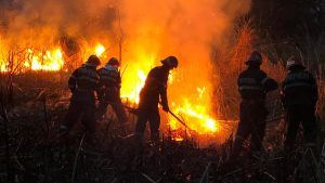 Fermierii care incendiază terenurile, ”arși la buzunare”