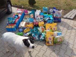 Un mureșean, sprijin pentru animale în Ucraina