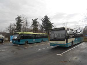 Transport local public mai scump la Luduș