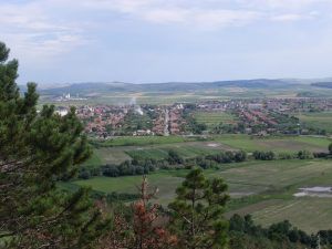Proiect pentru locuitorii din Lechința (Iernut)