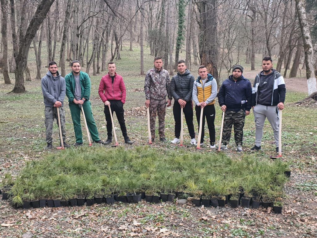 ”Săptămâna plantării arborilor”, onorată de elevii Liceului Silvic  Gurghiu