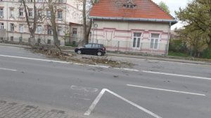 Târgu Mureș: Copac doborât de furtună pe fire electrice