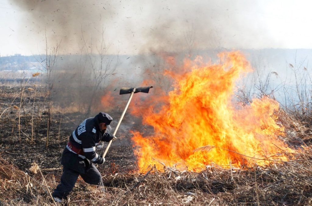 Mureș: Incendiu pe 1,5 hectare de vegetație uscată