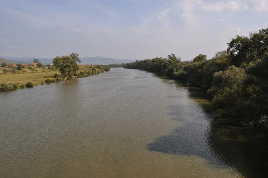 Curiozități despre râul Mureș FOTO: Țetcu Mircea Rareș/Wikimedia Commons