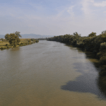 Curiozități despre râul Mureș FOTO: Țetcu Mircea Rareș/Wikimedia Commons