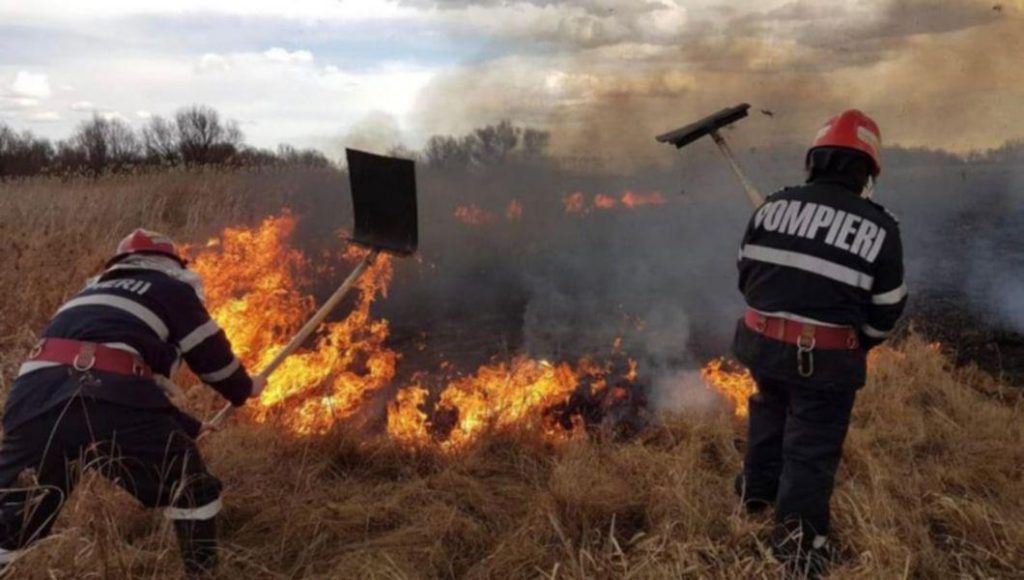 Incendiu de vegetație uscată pe strada Barajului din Târgu Mureș