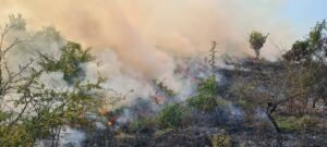 12 hectare de vegetație afectate de un incendiu la Sărățeni