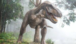 <strong>Urme de dinozaur, în China</strong>