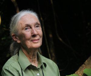 Păpușă Barbie cu chipul cercetătoarei britanice Jane Goodall