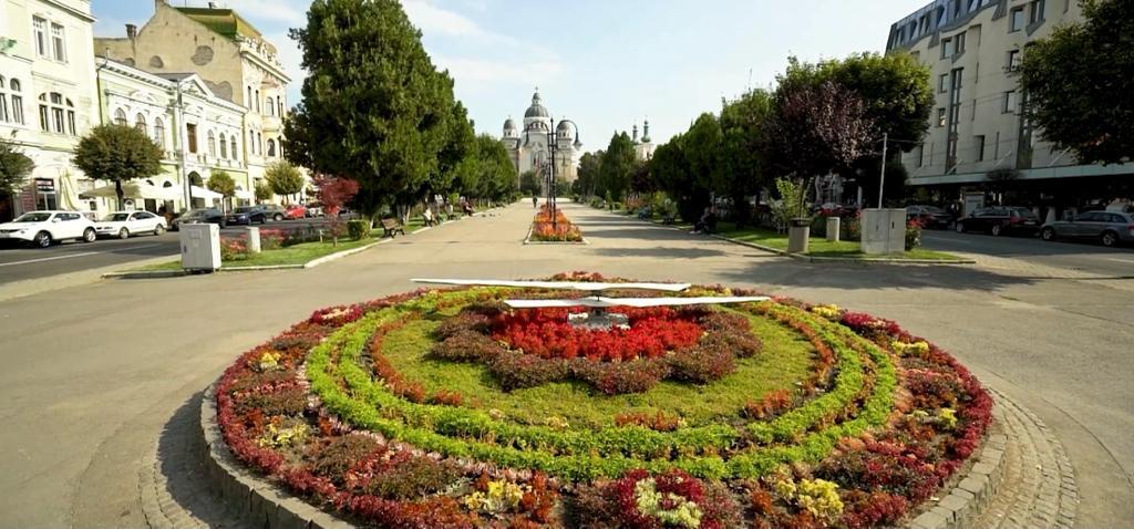 Tânăr amendat de Poliția Locală Târgu Mureș pentru că rotea acele ceasului floral