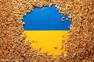 EU și NATO cer aplicarea integrală a acordului privind exporturile de cereale